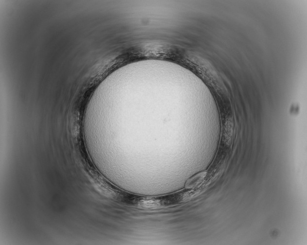 X0000099230413200805081602