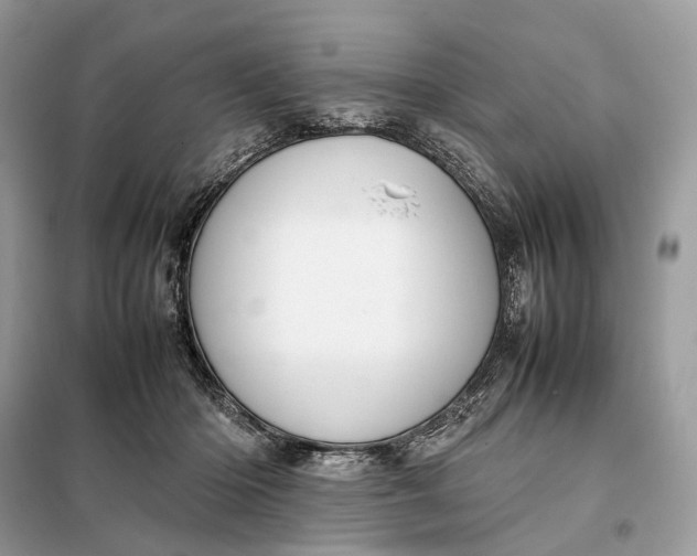 X0000099230414200805081602