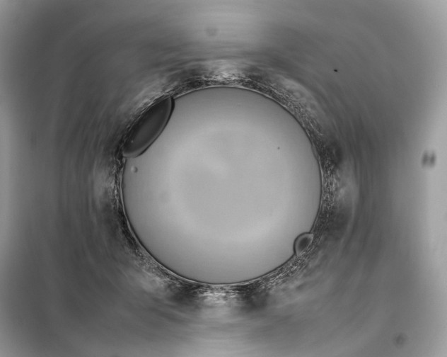 X0000099230415200805081602