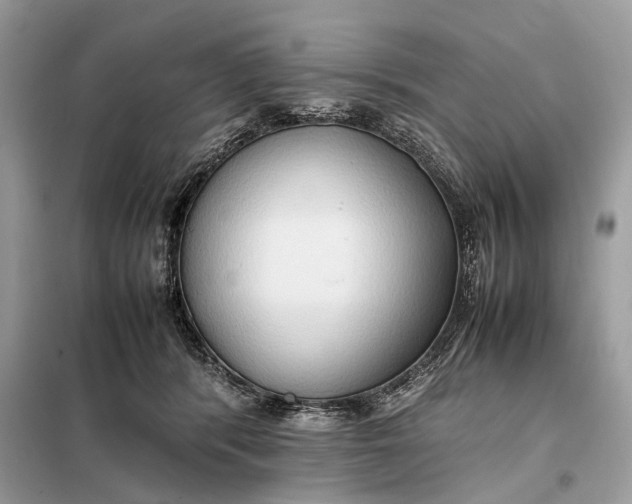 X0000099230416200805081602