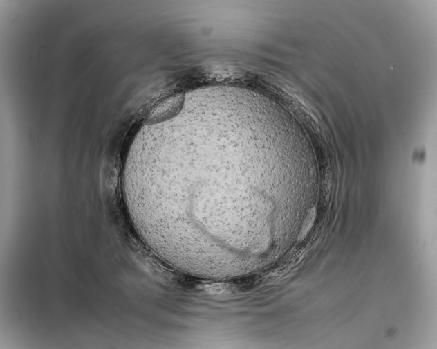 X0000099230417200805081602