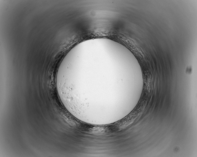 X0000099230418200805081602