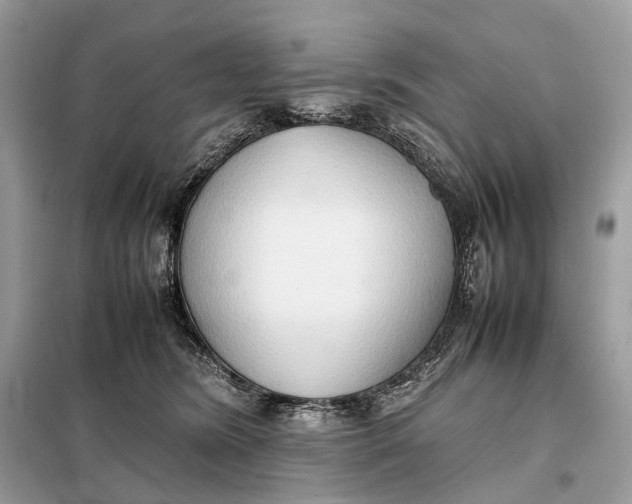 X0000099230420200805081602