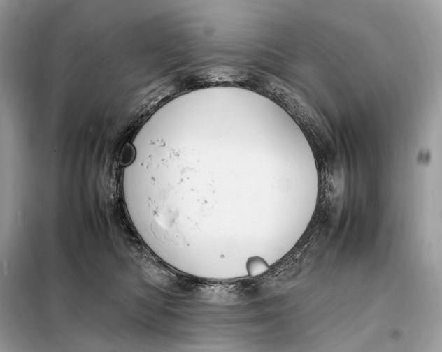 X0000099230422200805081602