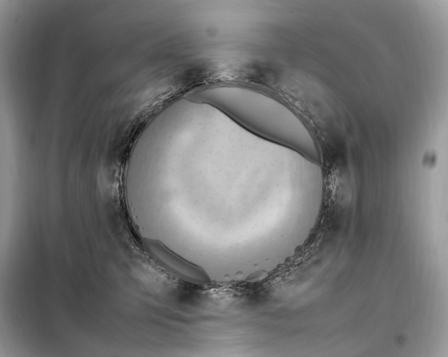 X0000099230423200805081602