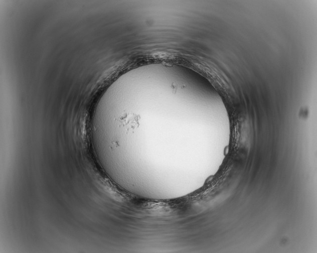 X0000099230424200805081602