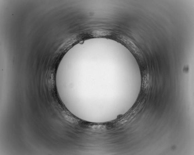 X0000099230426200805081602