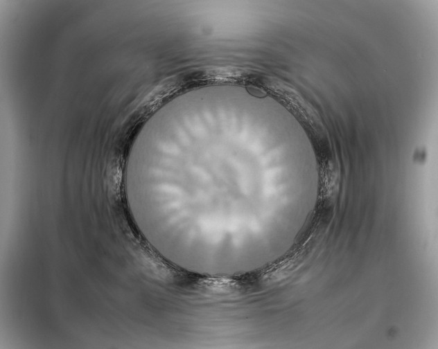 X0000099230427200805081602