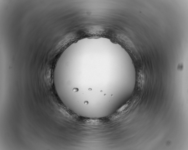 X0000099230428200805081602