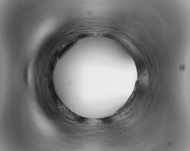 X0000099230429200805081602