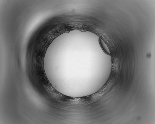 X0000099230430200805081602