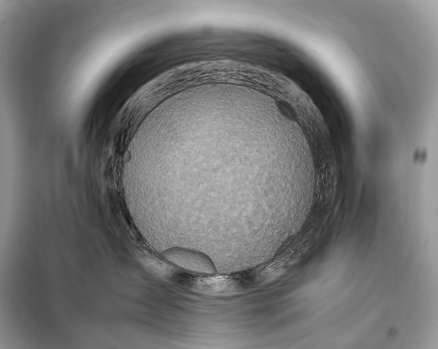 X0000099230431200805081602