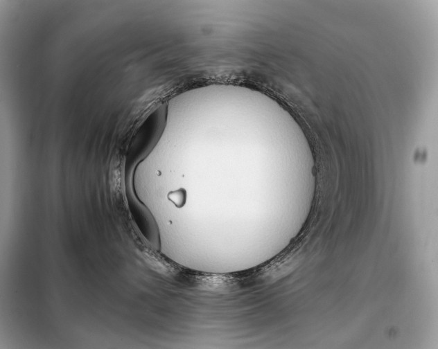 X0000099230432200805081602