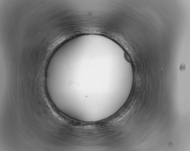 X0000099230433200805081601