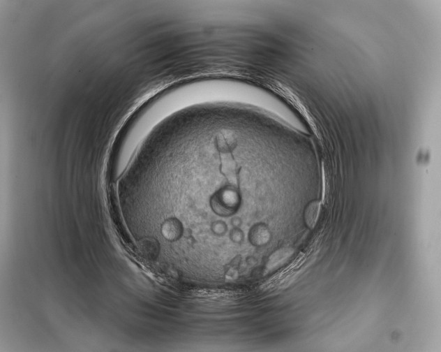 X0000099230435200805081601