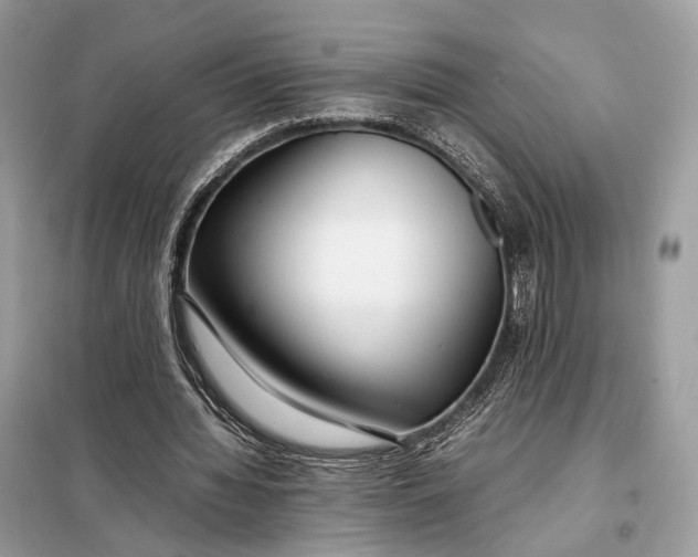 X0000099230436200805081601