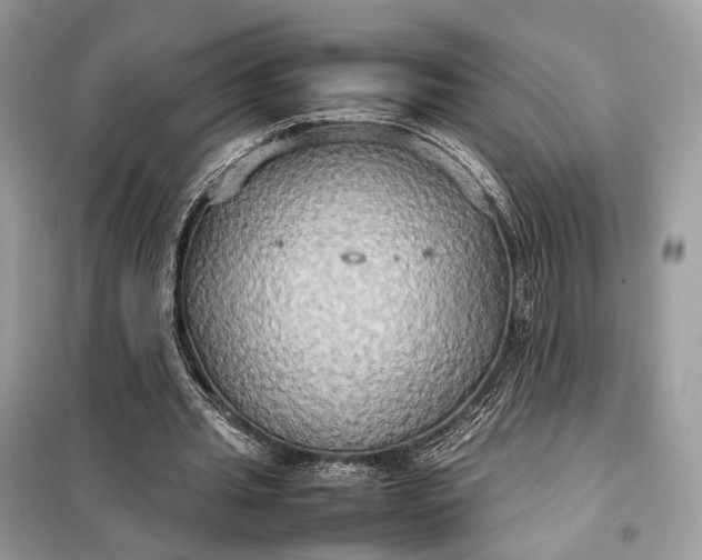 X0000099230437200805081601