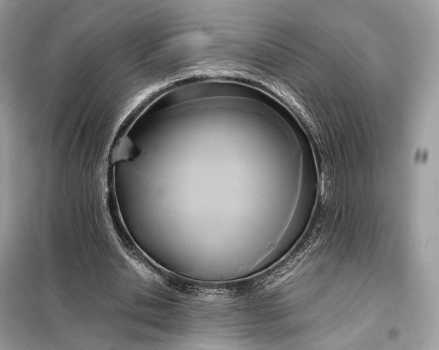 X0000099230438200805081601