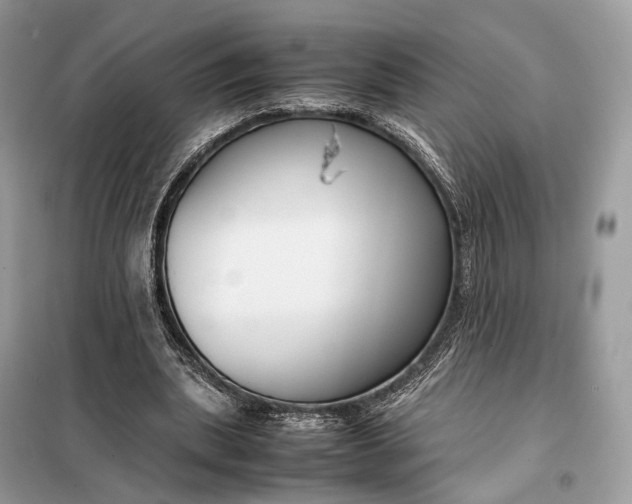 X0000099230439200805081601