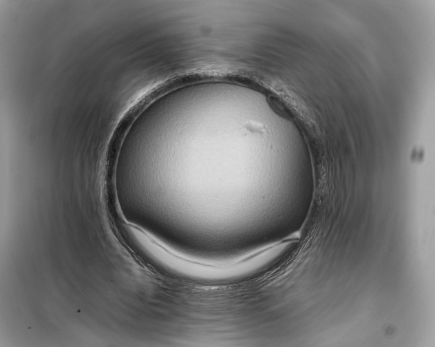 X0000099230440200805081601