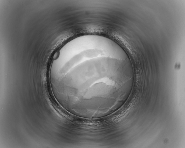 X0000099230443200805081601