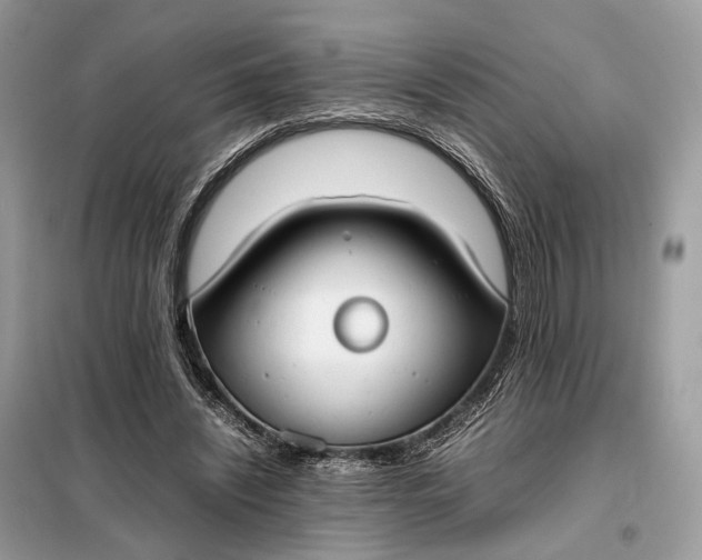 X0000099230444200805081601