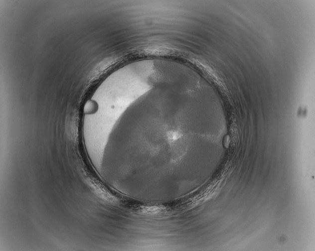 X0000099230446200805081601