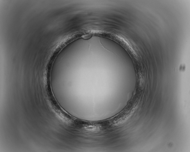 X0000099230447200805081601