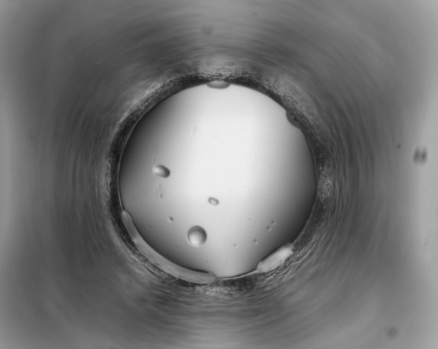 X0000099230448200805081601