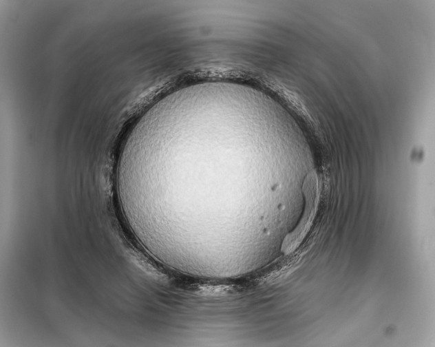 X0000099230450200805081601