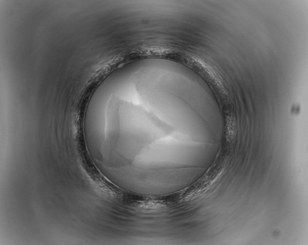 X0000099230451200805081601