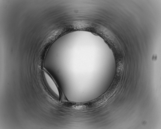 X0000099230452200805081601