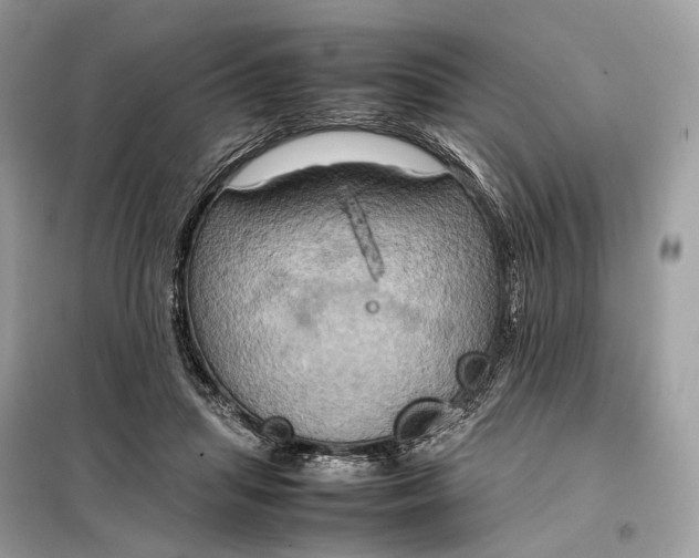 X0000099230455200805081601