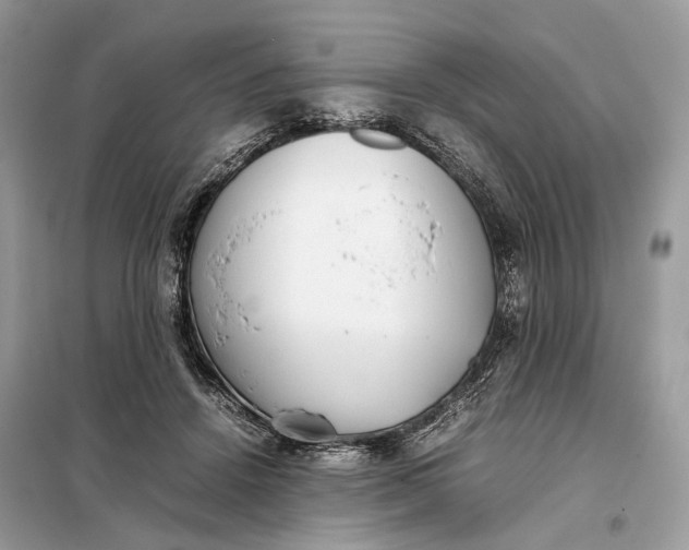 X0000099230456200805081601