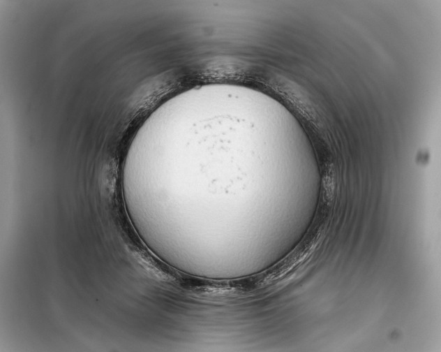 X0000099230458200805081601