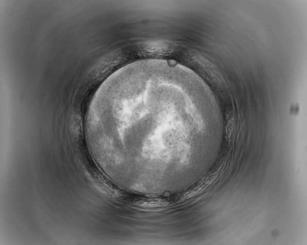 X0000099230459200805081601