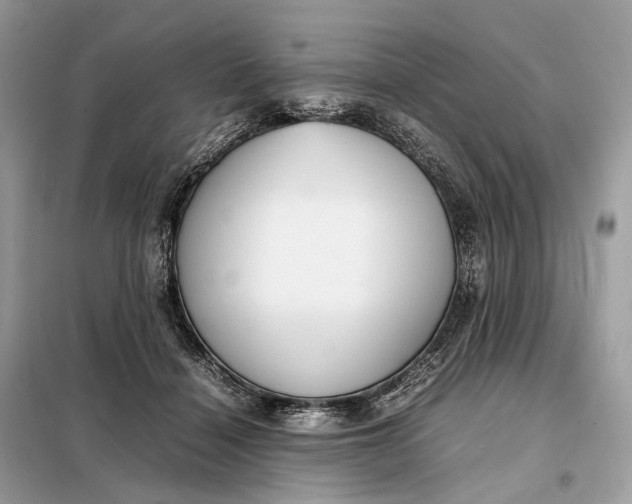 X0000099230460200805081601