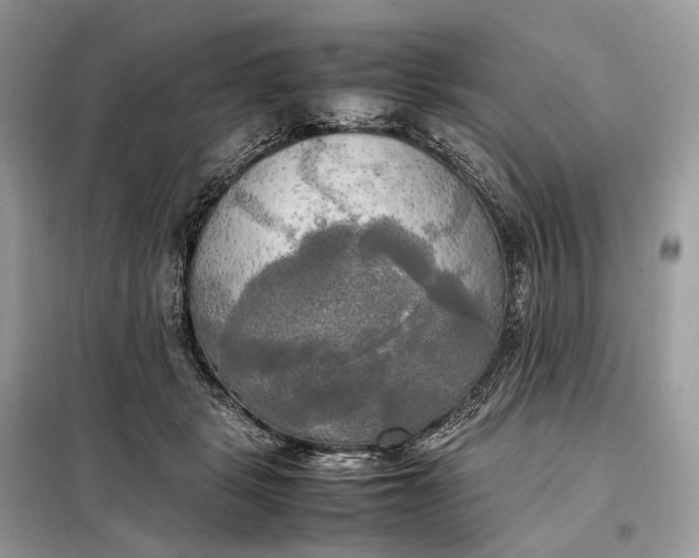 X0000099230461200805081601