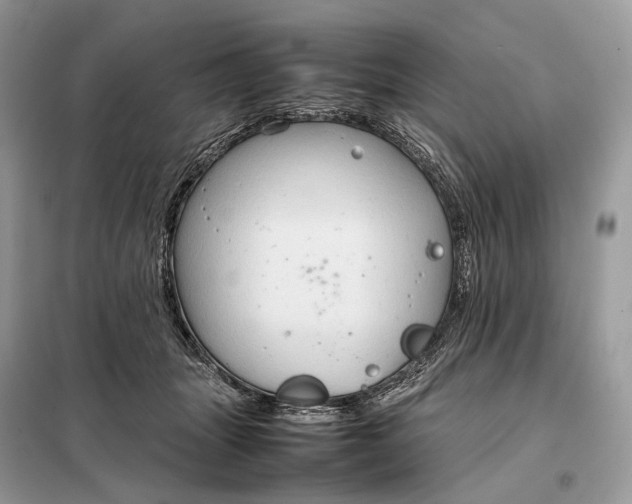 X0000099230463200805081601