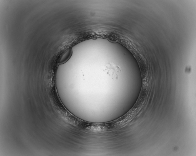 X0000099230464200805081601