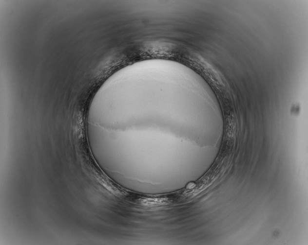 X0000099230465200805081601