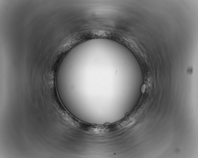 X0000099230466200805081601