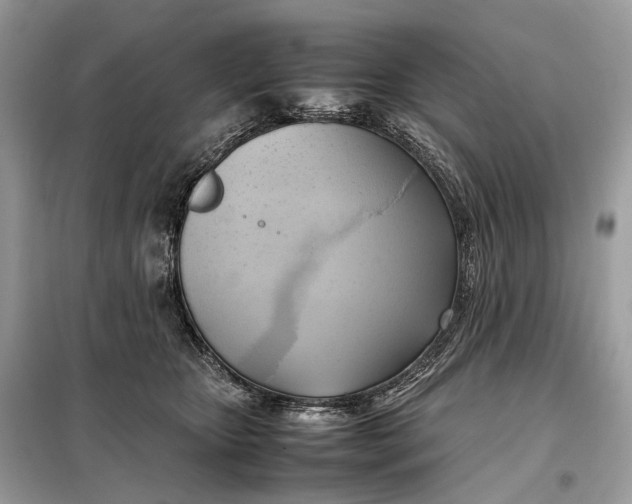 X0000099230467200805081601