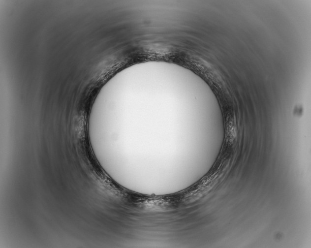 X0000099230468200805081601