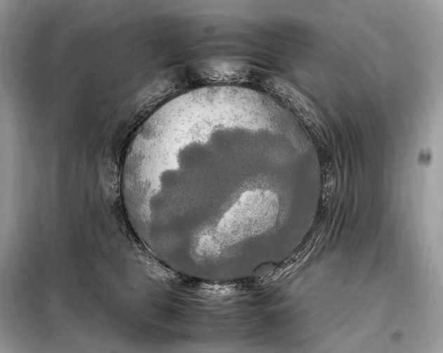 X0000099230469200805081601