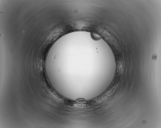 X0000099230470200805081601