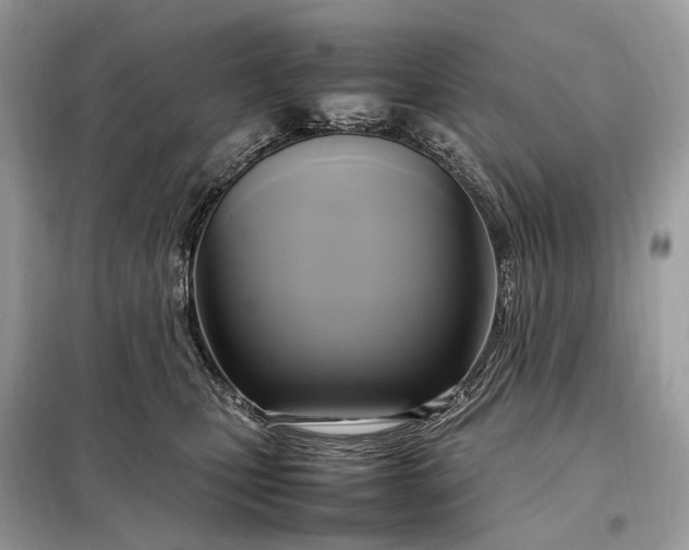 X0000099230471200805081601