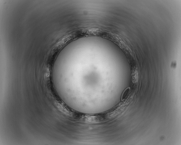 X0000099230472200805081601