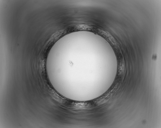 X0000099230473200805081601