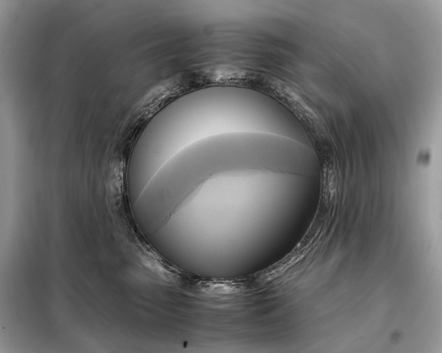 X0000099230475200805081601